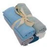 Solid Washcloth Combo 5-Pack In Boy