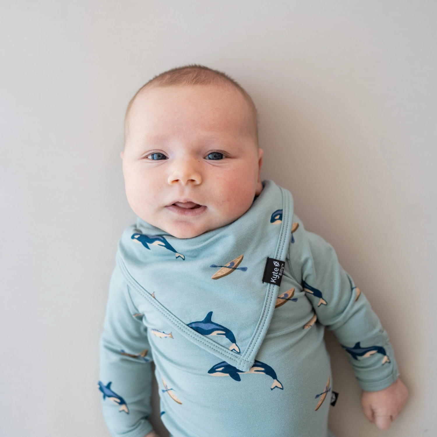 Bib In Coastline - Image 2