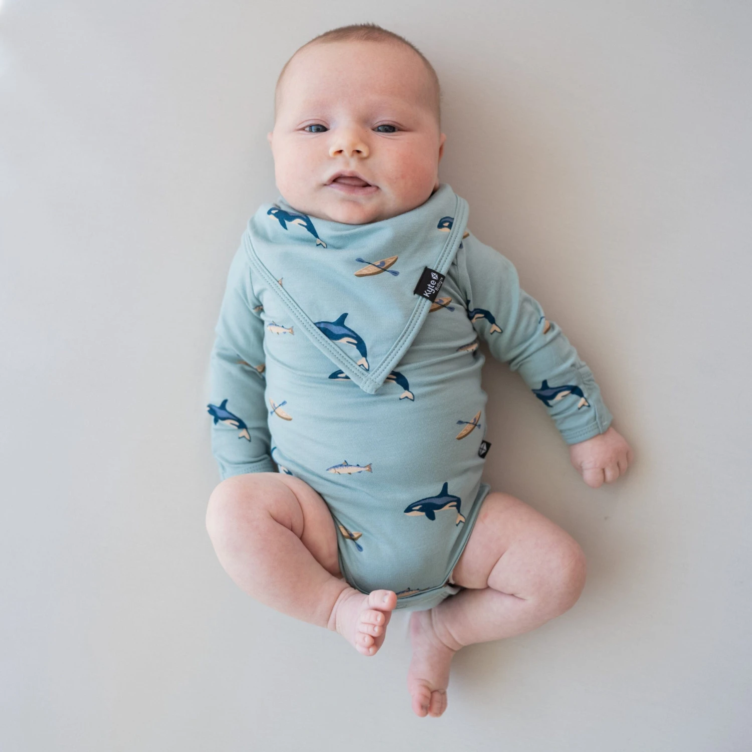 Bib In Coastline - Image 3