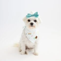 Dog Bandana In Cloud Party