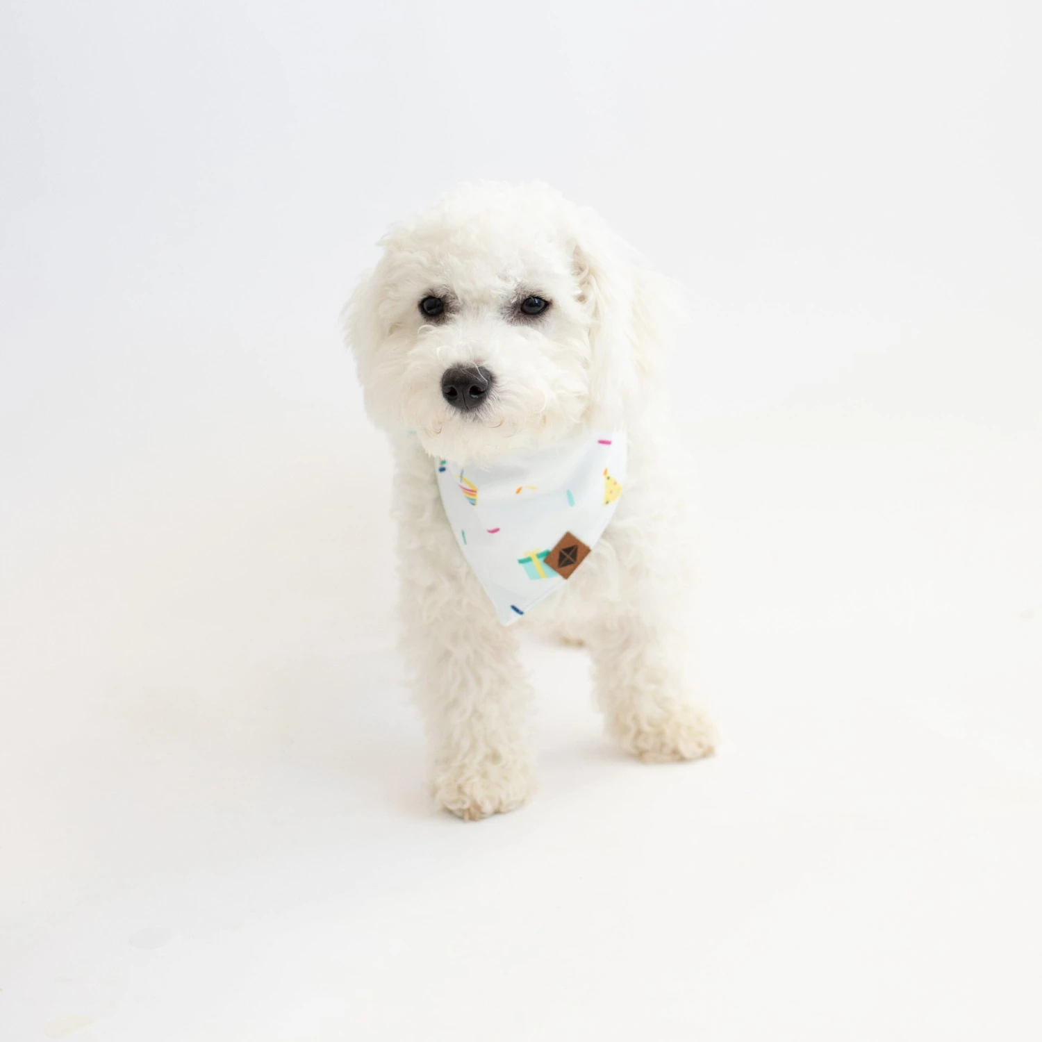 Dog Bandana In Cloud Party - Image 4