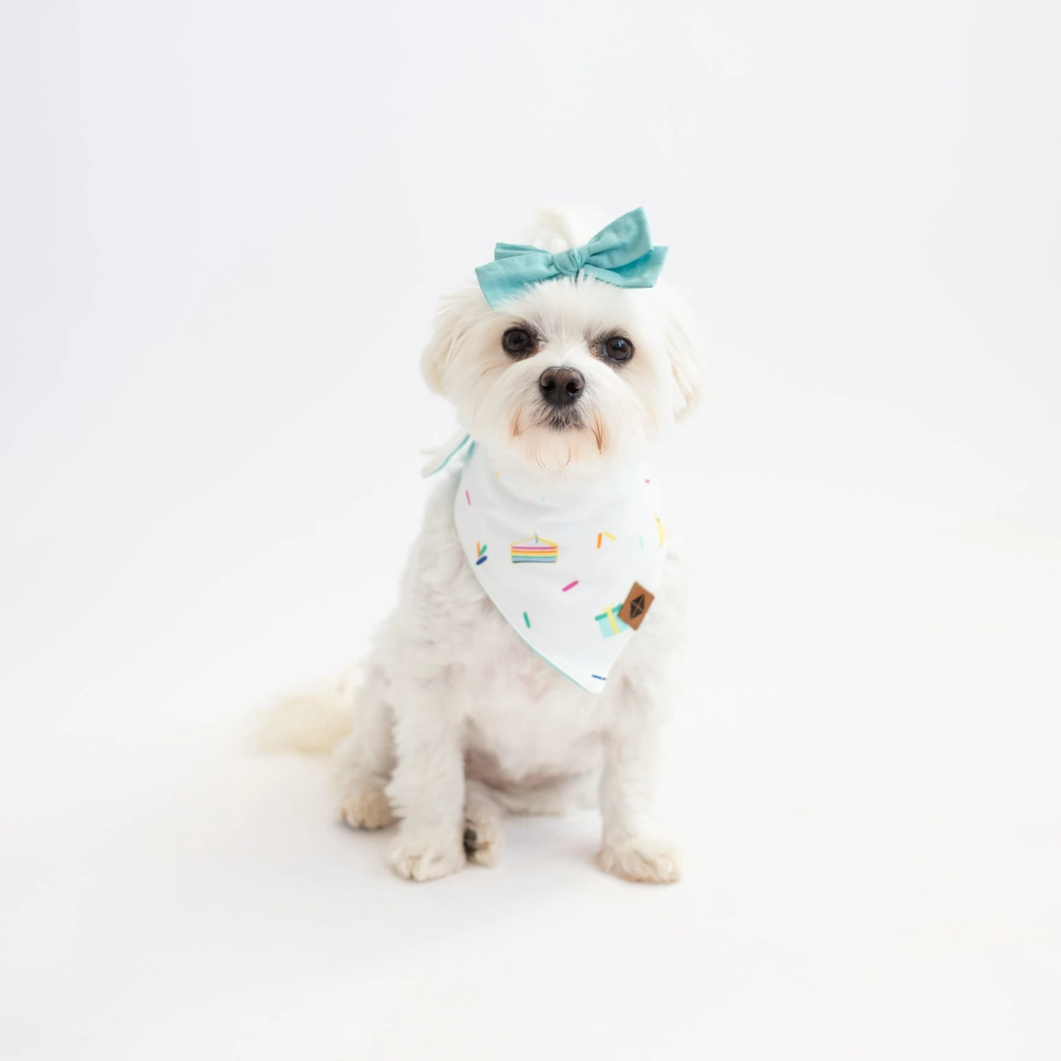 Dog Bandana In Cloud Party - Image 3