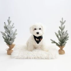 Dog Bandana In Midnight Deer